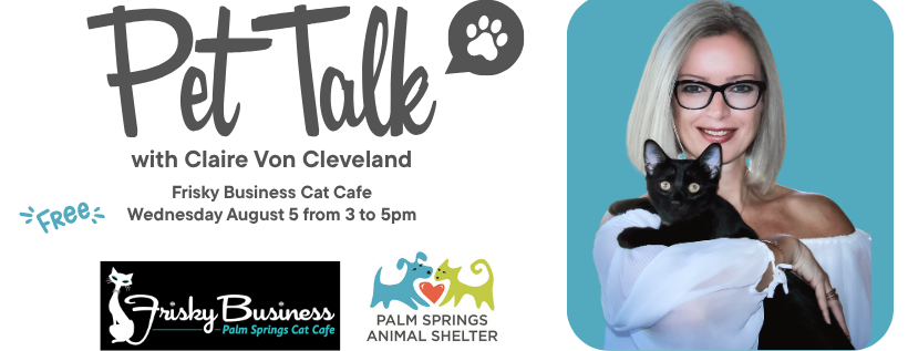 Pet Talk Frisky Business Cat Cafe